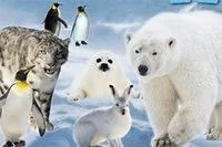 Test your animal knowledge in this free 300-level quiz game!