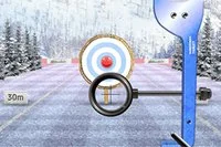 Grab a bow and put your archery skills to the ultimate test!