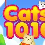 Dy mace të lumtura dhe ngjyra të gjalla me tekstin “Cats 1010” mbi një sfond me re
