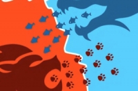 Conquer Us is an abstract strategic online game made in the genre of puzzles