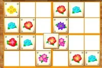 Solve the Flower Sudoku puzzles