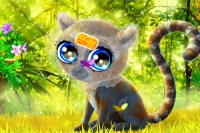 Take care of a ring-tailed baby lemur in this cute animal makeover game!