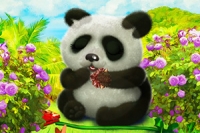 Take care of a super cute panda bear in this adorable animal makeover game!