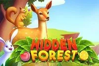Find all objects in the forest