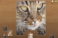 Enjoy the ultimate puzzle experience!