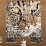 Puzzle me imazh të një maceje me sy të verdhë në një tavolinë druri