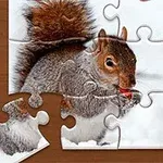 Një pjesë puzzle që tregon një ketër gri mëndafsh duke mbajtur një arrë në dëborë mbi një sfond druri me dekoracione bore