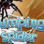 Një merimangë e zezë mbi një grumbull letrash me tekstin Jumping Spider në sfondin e kafe