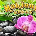 Orkide rozë mbi gurë të zinj dhe bimë jeshile me tekstin Mahjongg Relax në krye