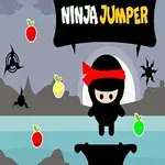 Ninja me shirit të kuq qëndron mbi një platformë me frutat shumëngjyrëshe dhe figura ninja në sfond gri