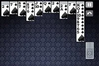 Play one of the most popular classic card games ever!