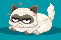 Answer questions to match with a famous cat similar to you in this personality